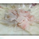 독도회센타 이미지