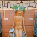 금산인삼랜드(통영) | 통영대전고속도로 금산 인삼랜드 휴게소 맛집 통영방향 한식당 한식 메뉴 가격