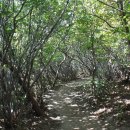 단대오거리역 2번출구 옆 이미지