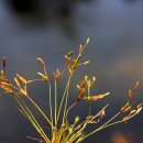 하늘지기 이미지