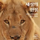 세실 이미지