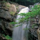 수락폭포 주차장 이미지