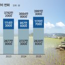 축산채소