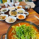 동태마루 | 기흥 롯데아울렛 근처 맛집 고매마루 미나리동태전골이 맛있는 한식집