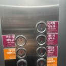 라미체성형외과의원 네이버블로그