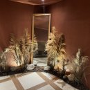 맨션 브릿지 이미지