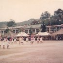 금강초등학교 이미지