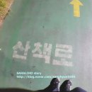 신정1교 | 데이트코스 산책 도림천 걷기좋은길 ★