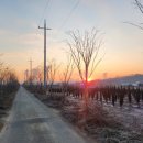 효행로 854번길 이미지