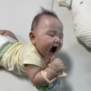 시은에듀