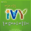 아이비독서실 네이버블로그