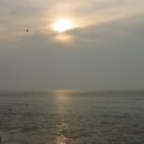 바다노을 이미지