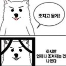 고양이동산 이미지