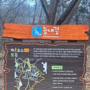 늠내길 1코스 숲길 이미지