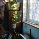 파도길 65 이미지