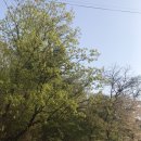 초록별숲유치원 이미지