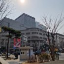 3월 서울