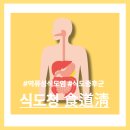 설명한의원 | 역류성식도염한의원 몇 달째 낫지 않던 속쓰림의 이유를 설명했었습니다