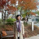 웃음치료&건강체조 이미지