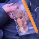 공주-67 | [수영 일기 67] 공주국민체육센터 평일 자유수영 후기