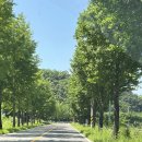 동막목장 이미지