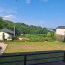 연기면사무소 이미지