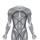 공덕인과한의원 이미지