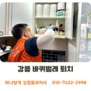 옥계가스 | 강릉방역업체 독일바퀴벌레 퇴치는 장팀장에게 문의주세요