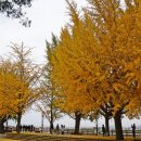 초사골가든 이미지