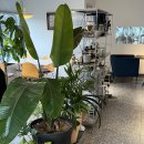 주승로 | 학익동 카페 타이니닷 후기, 카공·작업하기 좋은 조용한 인천대형카페