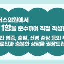 닥터에버스의원목동 이미지
