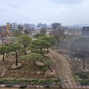 휴심정농원