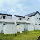 모니카 문 이미지