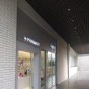 더숲약국 이미지