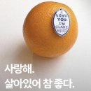 향기로운 염원 이미지