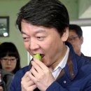 오이씨농장1 이미지