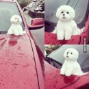 오마이갓(Oh My God) 이미지