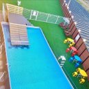 레오나르독 이미지