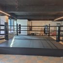 링맨복싱짐 이미지