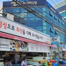 죽도시장 - 포항시 북구 죽도시장길 28 | 죽도시장