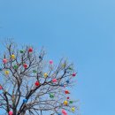 마켓올리 이미지