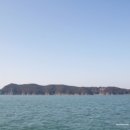 까멜리아해운주식회사 이미지