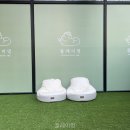 멍플레이 | 플레이멍 선택 전 볼 핵심 정보