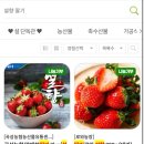 곡성농협 | [곡성몰] 설향 딸기 최대 40% 할인 특별전(서이추환영)