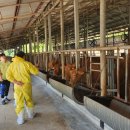 한우세무회계 이미지