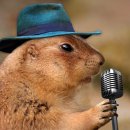 청년동물약국 이미지