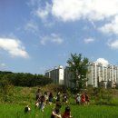 매향중학교 이미지