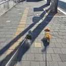 에덴세차장 | 일상 기록 _ 대구 근대문화골목 2코스 + 서문시장, 오랜만에 세차 기분 좋구요