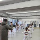 용인대 부부 백호 태권도장 | 옥정용인대백호태권도장 승품단심사 후기