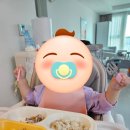 [제품후기]13개월 아기 식사 육아템_퍼기 안심 아기 에코젠 디바인더 식판